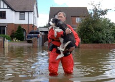 Kako ravnati s hišnimi ljubljenčki ob poplavah?
