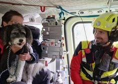 Čudeži se dogajajo: med uničujočimi poplavami našli Cooperja in s helikopterjem rešili Bolta!