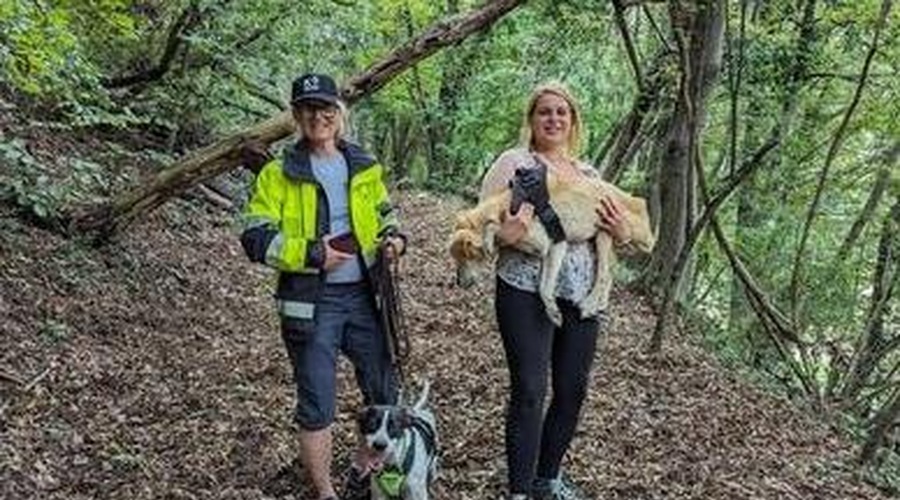 Iskanje bolnega psa dobilo srečen epilog: "Dali so mu še en mesec, pa od takrat živi že eno leto!" (foto: K9 iskalnje pogrešanih Slovenija / FACEBOOK)