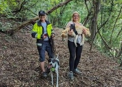 Iskanje bolnega psa dobilo srečen epilog: "Dali so mu še en mesec, pa od takrat živi že eno leto!"