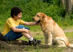 Čudežne besede, ob katerih se pasji utrip občutno poveča (kaj jih vzemiri)