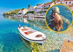 Nevarnost iz globin: na priljubljeni plaži na Korčuli opazili strupeno ribo (FOTO)