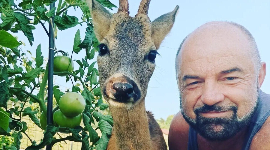 Jan Knez razkril žalostno novico: nekdo mu je zastrupil srnjačka, sedaj pa razkril še, kaj se je zgodilo z njim (foto: Jan Knez/Facebook)