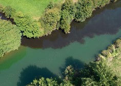 Na Ljubljanskem barju črna voda in smrad po gnilobi: ugotovili so izvor (presenetilo vas bo)