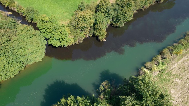 Na Ljubljanskem barju črna voda in smrad po gnilobi: ugotovili so izvor (presenetilo vas bo) (foto: Uroš Stepišnik/STA)