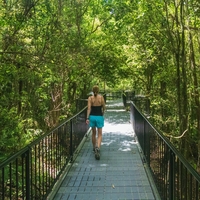 Trend, ki ljudi prisili nazaj v naravo: hodijo na sprehode brez telefona – in pravijo, da jim to spremeni življenje