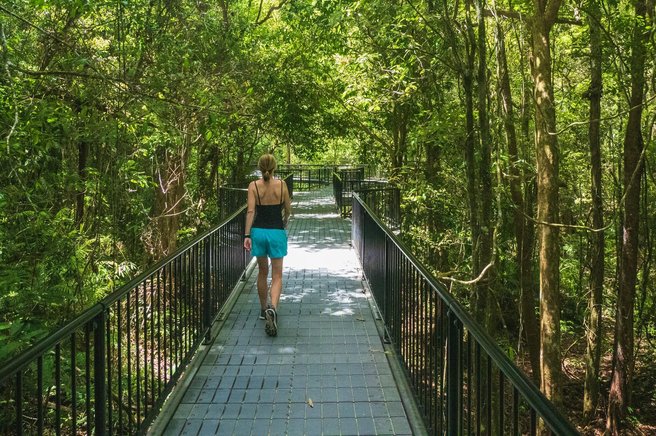 Trend, ki ljudi prisili nazaj v naravo: hodijo na sprehode brez telefona – in pravijo, da jim to spremeni življenje