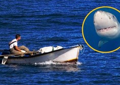 Nenavaden incident na morju: ribič ujel morskega psa, ki ga je nato napadel