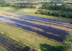 Onesnažena voda na Ljubljanskem barju, vonj po fekalijah: kaj je ugotovila inšpekcija?