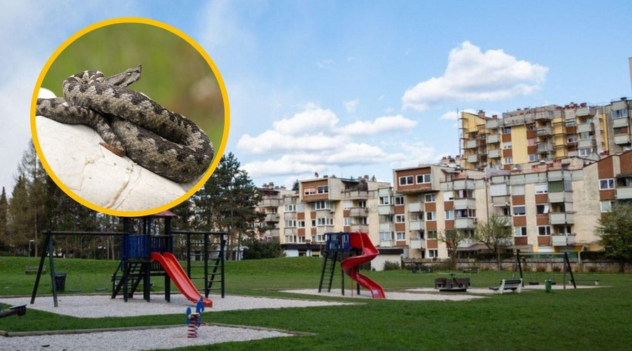 Fotografija je simbolična. (foto: Profimedia/fotomontaža)