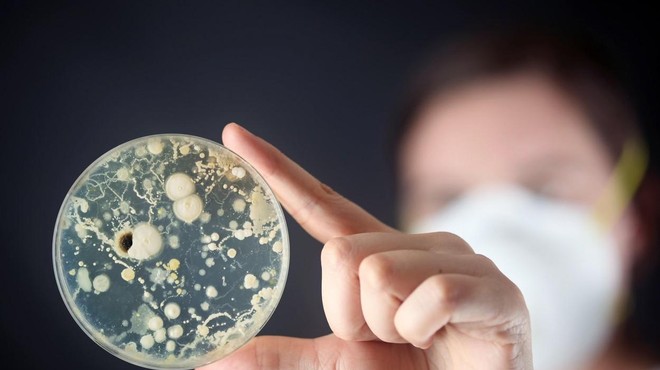 Skrb vzbujajoče: to je predmet, na katerem je več mikrobov kot na straniščni školjki (foto: Profimedia)
