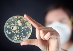 Skrb vzbujajoče: to je predmet, na katerem je več mikrobov kot na straniščni školjki