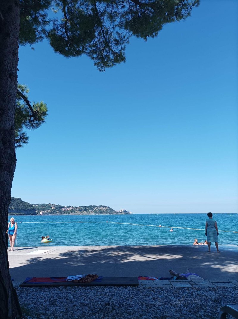 Velik del plaže ima naravno senco pod visokimi pinjami.