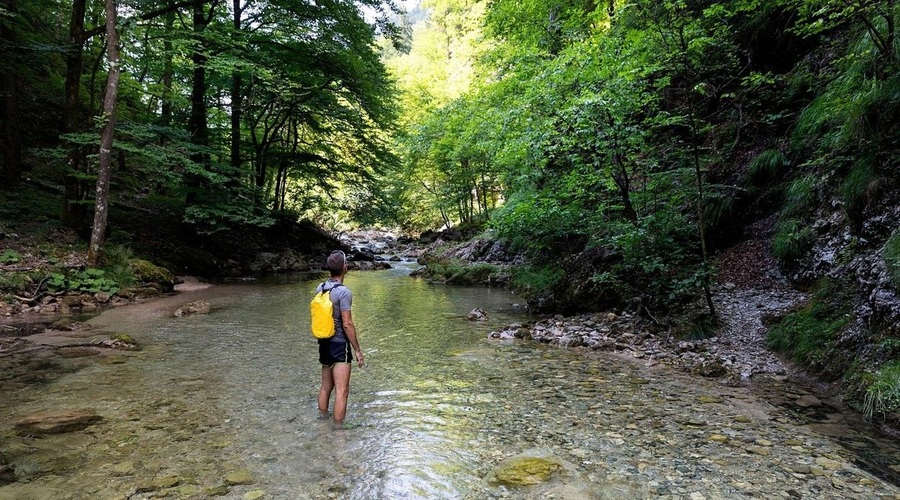 Poklon mogočni naravi: turisti v Sloveniji vzdihujejo, da česa tako lepega še niso uzrli! (foto: Profimedia)