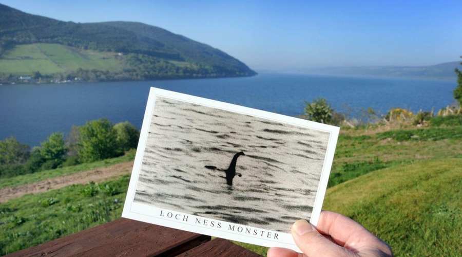 Razočaranje? Iskali so pošast Nessie, našli pa ... (foto: Profimedia)