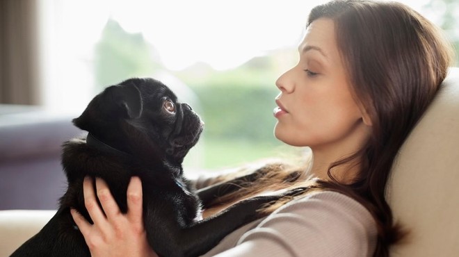 Neverjetno odkritje o tem, kako psi slišijo svoje lastnike (ženske so v prednosti) (foto: Profimedia)