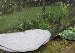 Del Slovenije je zajela huda nevihta s točo: poglejte, kam se premikajo deževni oblaki (radarska slika padavin)