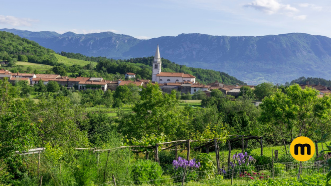 Slovenska vas med vinogradi, ki je postala zvezda na Netflixu (foto: Profimedia)