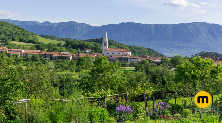 Slovenska vas med vinogradi, ki je postala zvezda na Netflixu (foto: Profimedia)