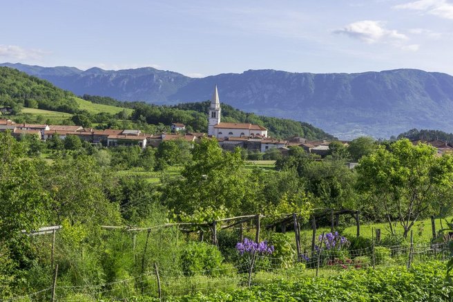 Nič več "skrita" slovenska dolina. V naši najstarejši vinski vasi gradijo hotel, še dva bosta stala v bližini