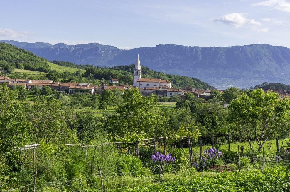 Nič več "skrita" slovenska dolina. V naši najstarejši vinski vasi gradijo hotel, še dva bosta stala v bližini (foto: Profimedia)