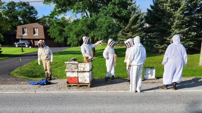 Nenavadna nesreča: s tovornjaka padli panji s kar 5 milijoni razdraženih čebel! (foto: Facebook/Tri-City Bee Rescue/posnetek zaslona)