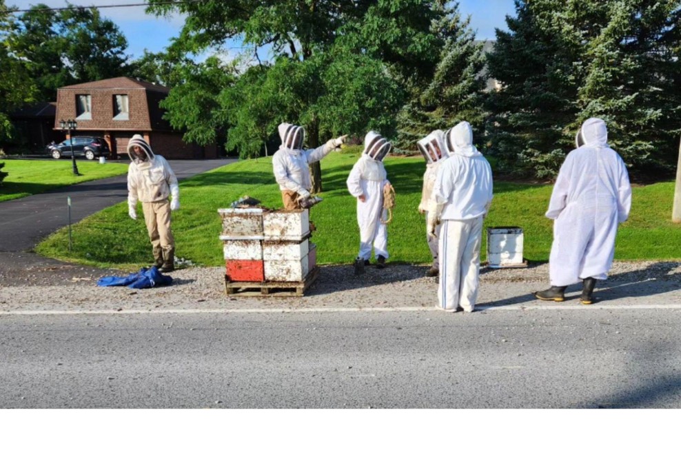 Nenavadna nesreča: s tovornjaka padli panji s kar 5 milijoni razdraženih čebel! (foto: Facebook/Tri-City Bee Rescue/posnetek zaslona)