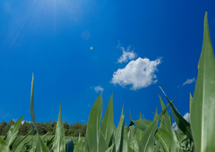 Se je vreme končno umirilo? Vstopili smo v vikend, ki bo vremensko morda nekoliko prijetnejši