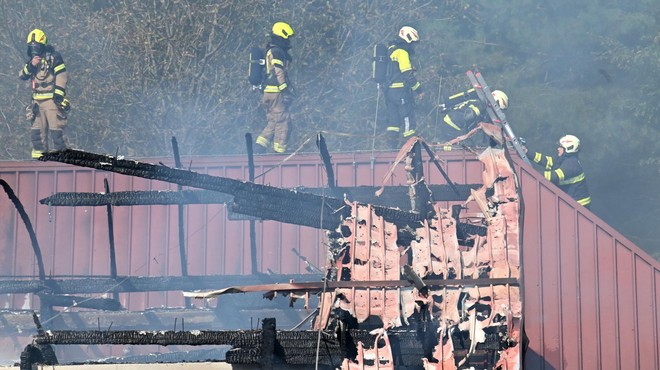 Katastrofalni požar na kmetiji pod Šmarno goro: poglejte fotografije s prizorišča (pretreseni boste) (foto: Žiga Živulović j.r./Bobo)