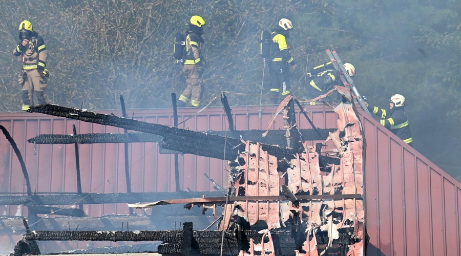 Katastrofalni požar na kmetiji pod Šmarno goro: poglejte fotografije s prizorišča (pretreseni boste) (foto: Žiga Živulović j.r./Bobo)