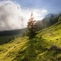 Se turobno deževno vreme poslavlja? To napovedujejo vremenoslovci