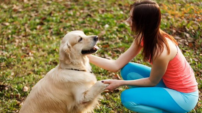 Ste vedeli, da ima vsak pes svoj edinstven 'prstni odtis'? (A te funkcije ne opravljajo pasje blazinice) (foto: Profimedia)