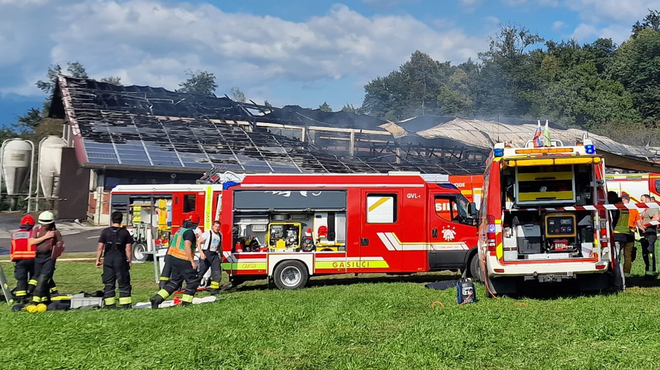 Nesreča med gašenjem požara pod Šmarno goro: na dva gasilca padel tram (foto: PGD Ježica)