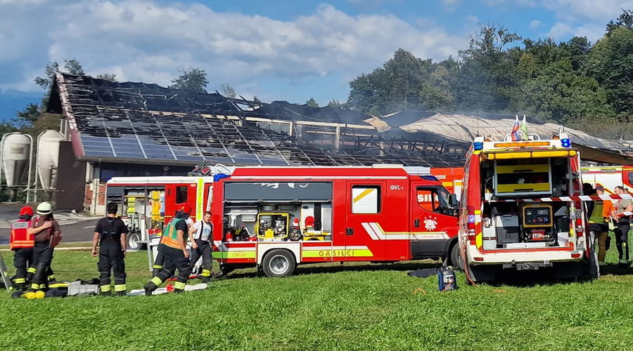 Nesreča med gašenjem požara pod Šmarno goro: na dva gasilca padel tram (foto: PGD Ježica)