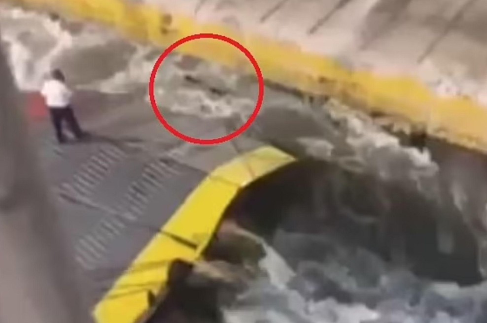 Tragedija na morju: člana posadke sta moškega, ki se je poskušal vkrcati na trajekt, potisnila v smrt (VIDEO) (foto: Twitter/posnetek zaslona)