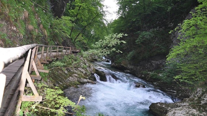 Slovenija v EU z močnim sporočilom glede zaščite vode (foto: Profimedia)
