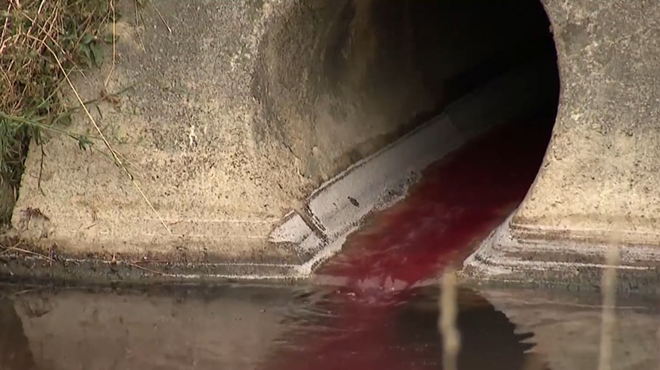 Kdo je kriv, da se je reka v Kopru obarvala rdeče? Po navedbah strokovnjakov gre za resno onesnaženje (foto: TV Slovenija/Posnetek zaslona)