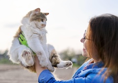 Ali mačka prepozna svoje ime? (Tukaj je odgovor na večno vprašanje)