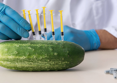 Po zdravju škodljivih uvoženih slivah in breskvah zdaj odkrili še sporne kumare (tudi te so prišle iz Srbije)