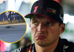VIDEO: Dirkače formule 1 med vožnjo presenetil živalski vsiljivec, Max Verstappen se je z njim srečal iz oči v oči