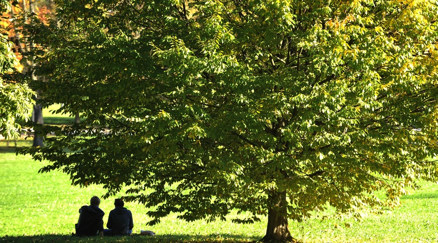 Kako bo vreme te dni vplivalo na počutje? (foto: Žiga Živulovič jr./Bobo)