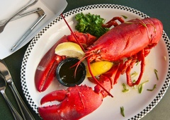 Turistka rešila življenje jastoga (moral bi končati na njenem krožniku)