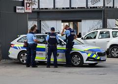 Pohajkoval po mestu ter se znašal nad mimoidočimi: tudi policija ga ni uspela umiriti