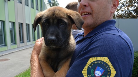 Slovenska policija ima nove sodelavce: poglejte te prikupne male kepice (FOTO)