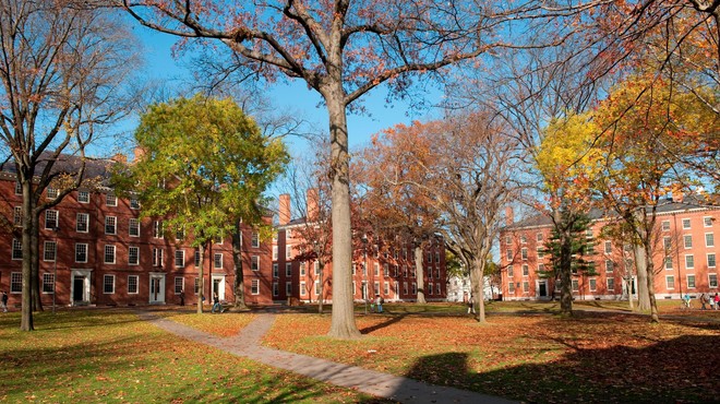 Univerza Harvard (foto: Profimedia)