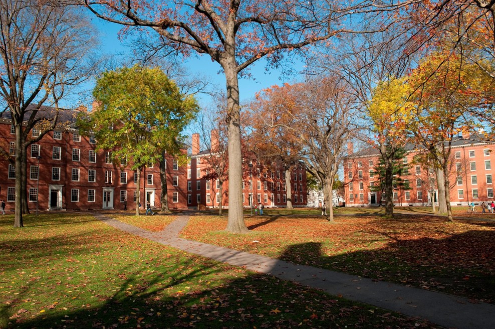 Univerza Harvard (foto: Profimedia)