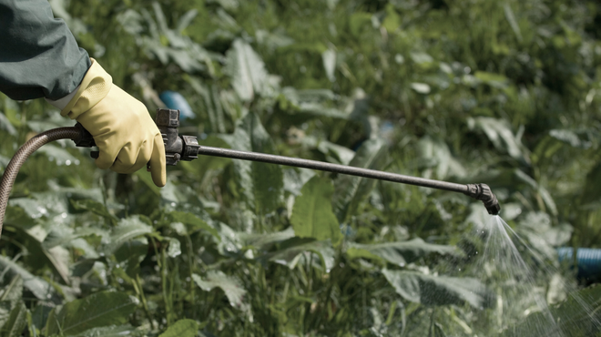 Bo Slovenija kot prva v EU prepovedala strupeni herbicid, ki je pogosto v našem sadju in zelenjavi? (foto: Profimedia)