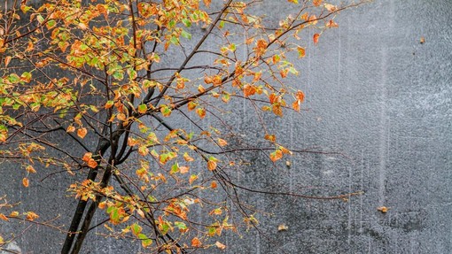 Prihaja vremenska fronta: Arso za dele države izdal oranžno opozorilo