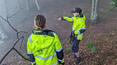 Odvija se prava drama, belgijski ovčar Ali ujet pod pečinami (FOTO)