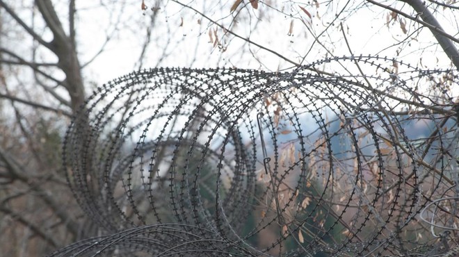 Hrvaška meje ne bo ogradila z žičnato ograjo: "Tudi na drugi strani živijo..." (foto: Profimedia)